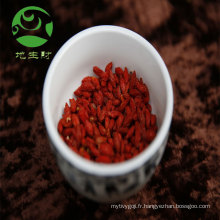 Baies de goji soigneusement sélectionnées 280 grains avec un prix d&#39;usine raisonnable